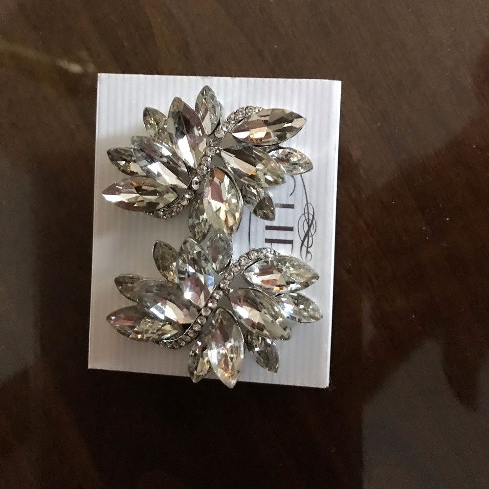 Clip-on Earings